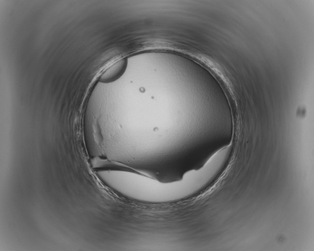 X0000096191145200802151457