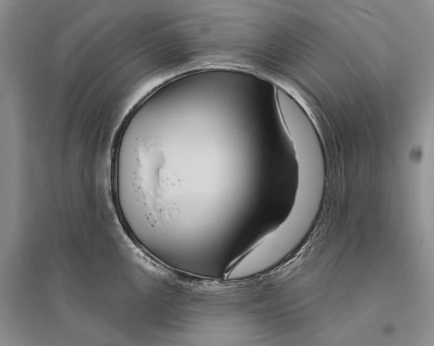 X0000096191147200802151458