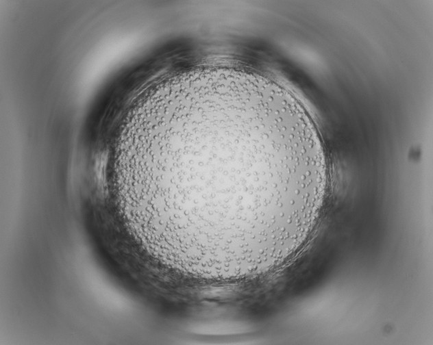 X0000096191150200802151458