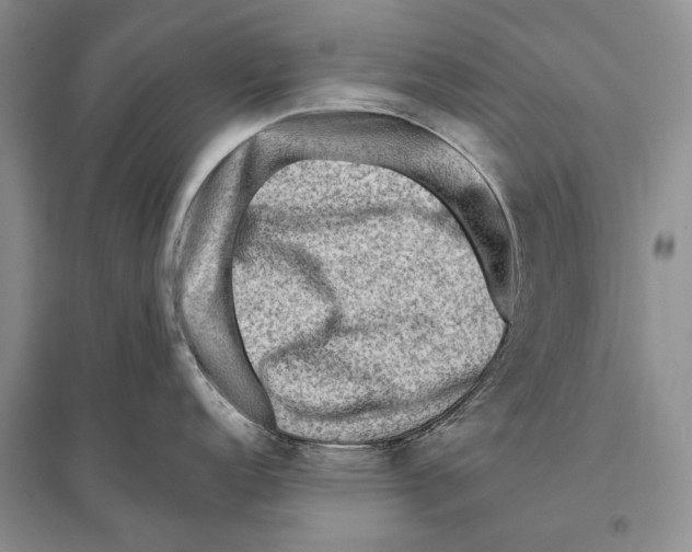 X0000096191152200802151458