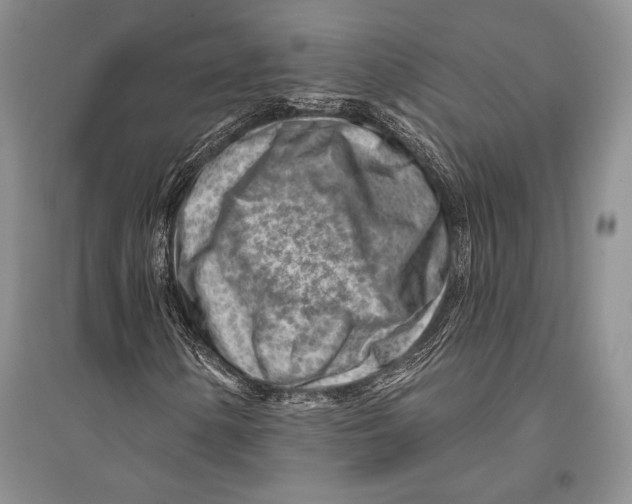 X0000096191154200802151457