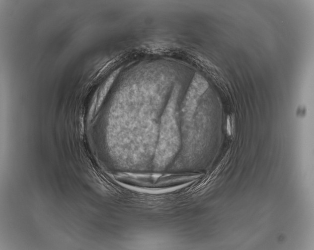 X0000096191155200802151457