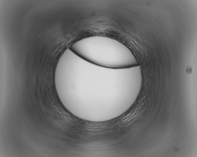 X0000096191156200802151457