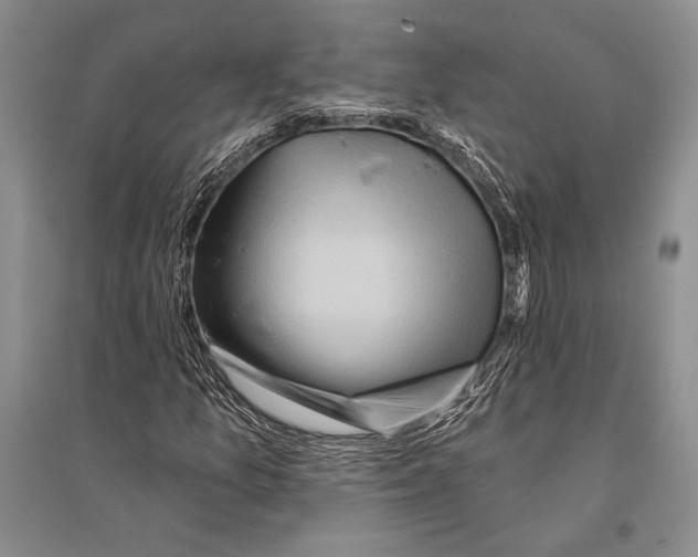 X0000096191157200802151457