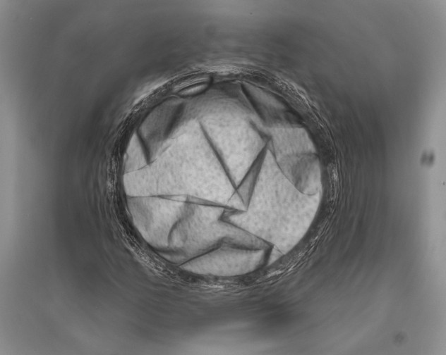 X0000096191158200802151457