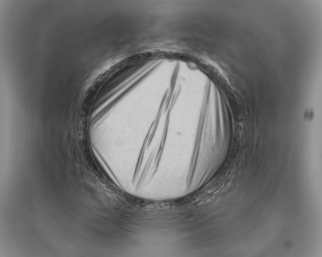 X0000096191159200802151457