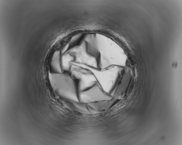 X0000096191160200802151457