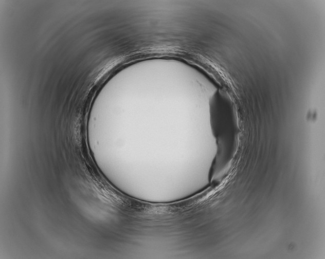 X0000096191162200802151457