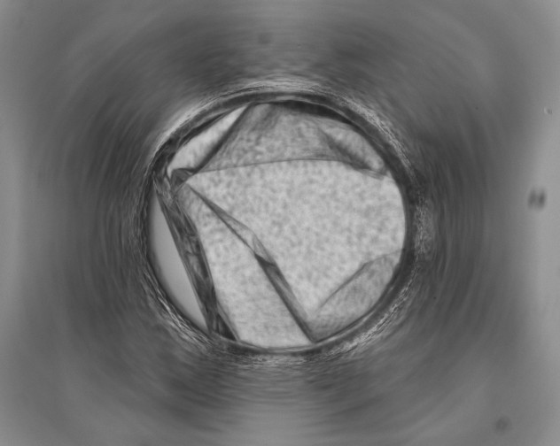 X0000096191163200802151457