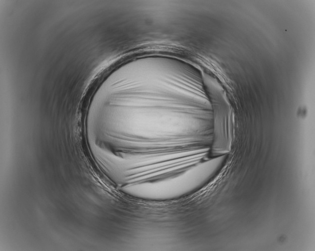 X0000096191164200802151457