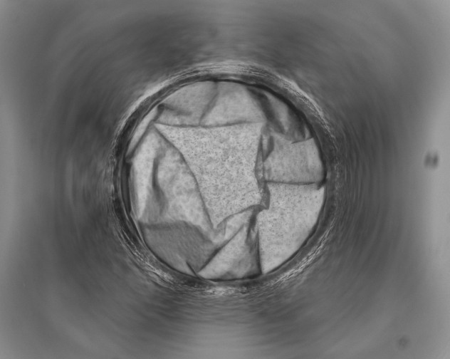 X0000096191166200802151457