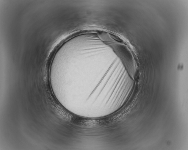 X0000096191167200802151457