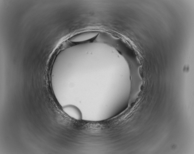 X0000096191168200802151457