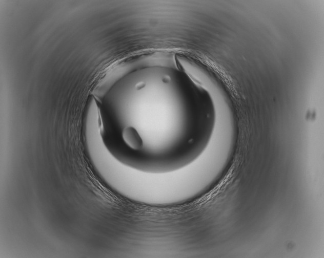 X0000096191169200802151457