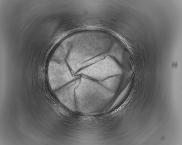 X0000096191170200802151457