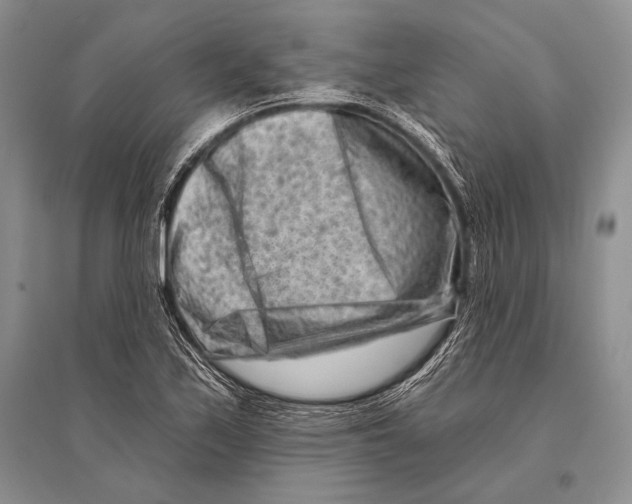 X0000096191171200802151457