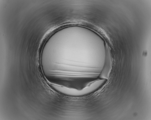 X0000096191172200802151457