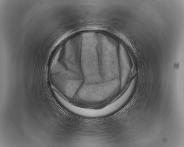 X0000096191173200802151457