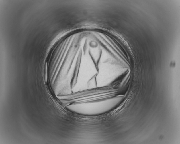 X0000096191175200802151457