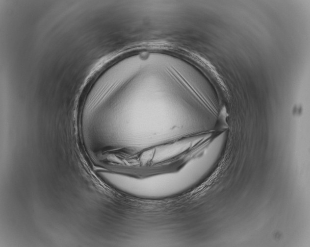 X0000096191176200802151457