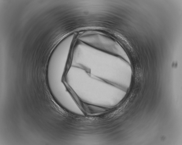 X0000096191177200802151457