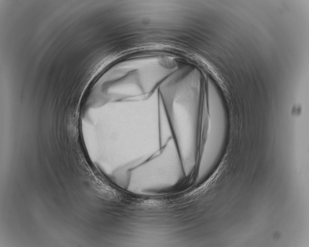 X0000096191178200802151457