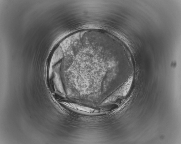 X0000096191179200802151457