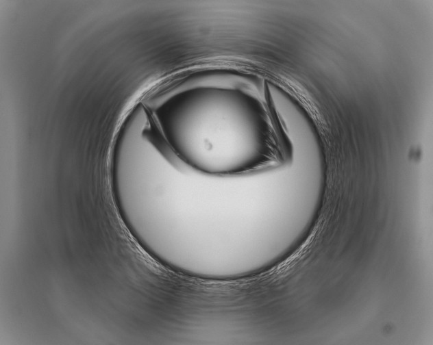 X0000096191180200802151457