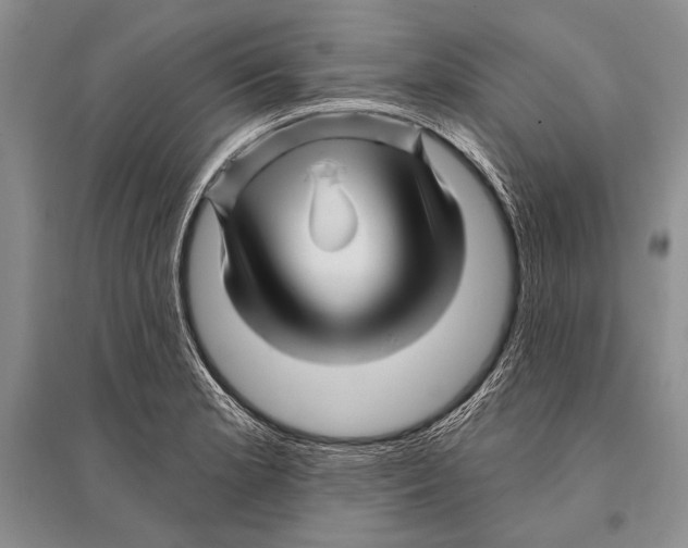 X0000096191181200802151457