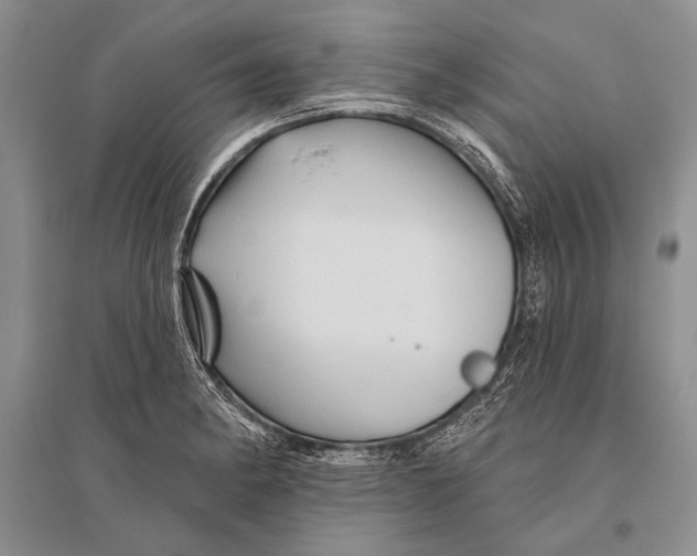 X0000096191182200802151457