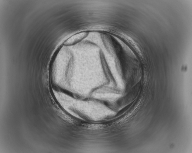 X0000096191184200802151456