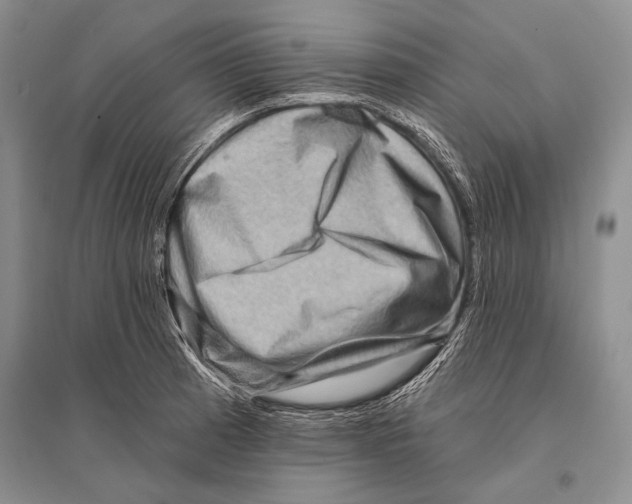 X0000096191185200802151456