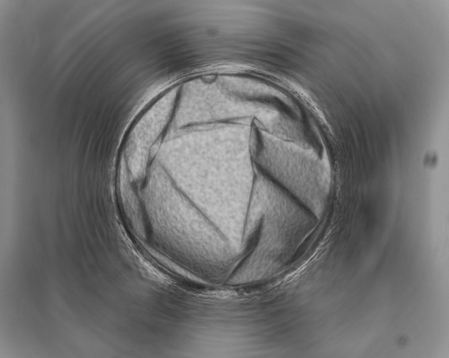 X0000096191186200802151456