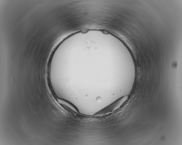 X0000096191187200802151456