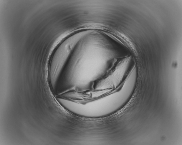 X0000096191188200802151456