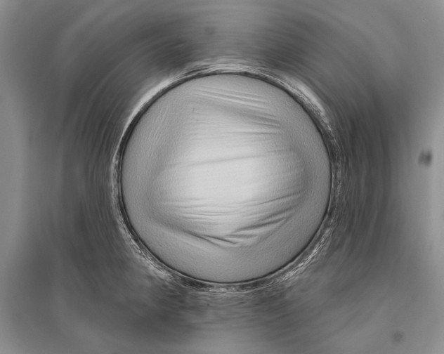 X0000096191190200802151456