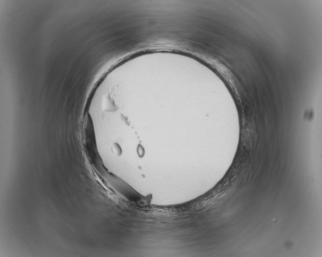 X0000096191191200802151456