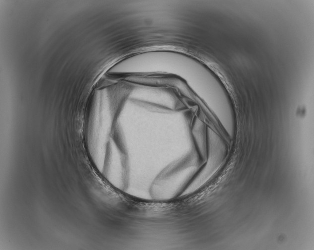 X0000096191193200802151456