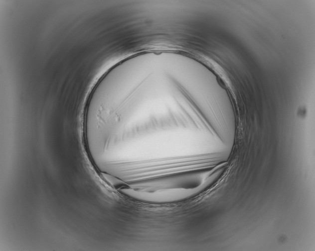 X0000096191195200802151456