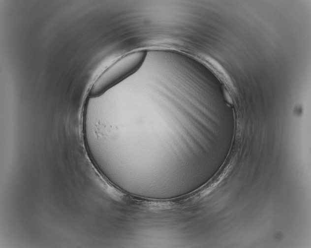 X0000096191196200802151456