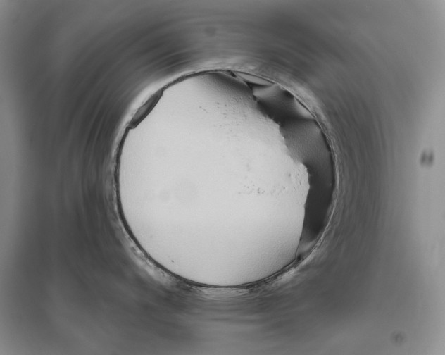 X0000096191200200802151456