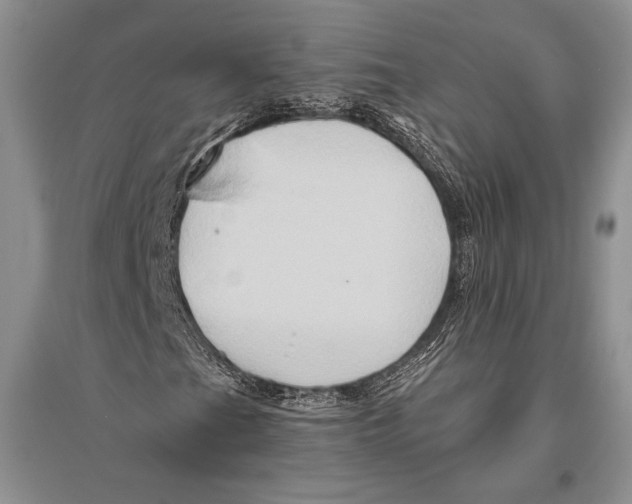 X0000096191201200802151455