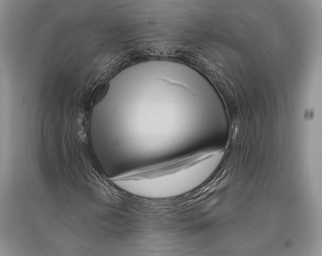 X0000096191202200802151455