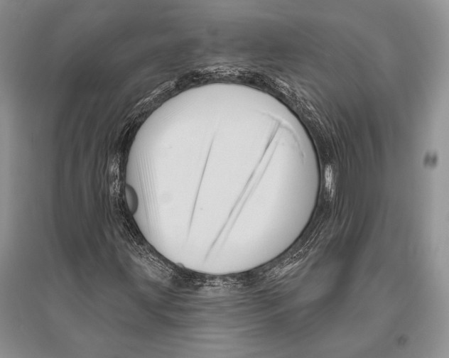 X0000096191203200802151455