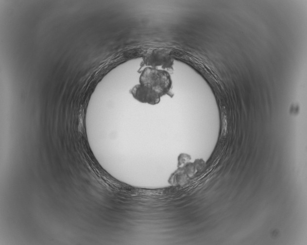 X0000096191204200802151455