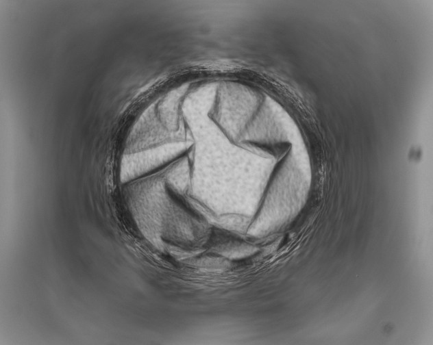 X0000096191205200802151455