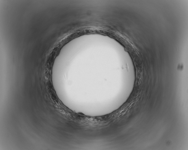 X0000096191207200802151456