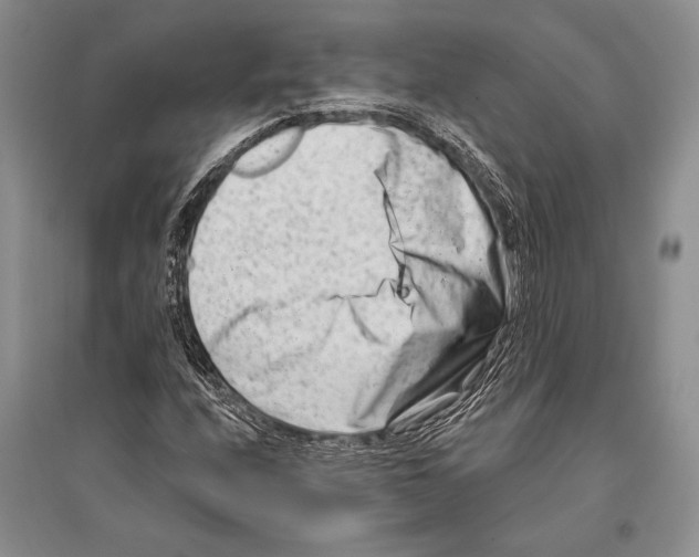 X0000096191208200802151456