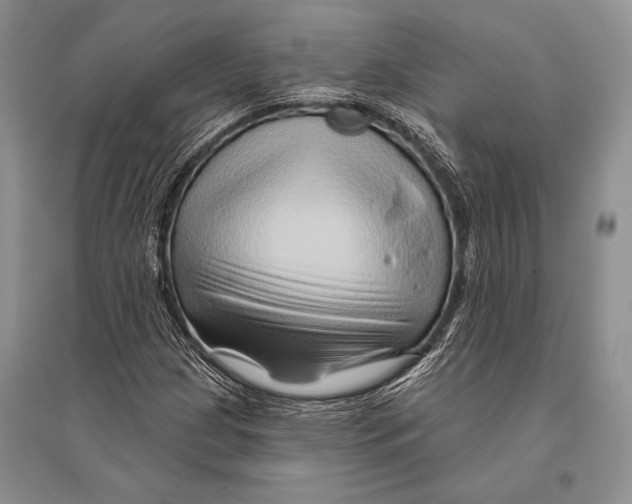 X0000096191209200802151456