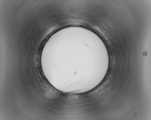 X0000096191211200802151456